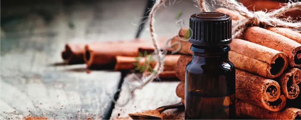 100% Pure Organic Cassia Spice Oil